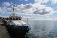Bateau patrouilleur à vendre