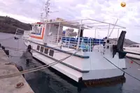 Navire-ferry à vendre