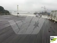 Navire de croisière à vendre