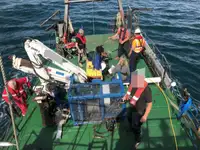 Bateaux de travail à vendre