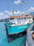 Navire d'arpentage à vendre