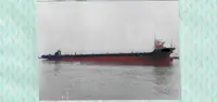 Barge à vendre