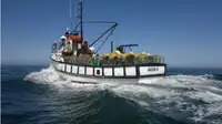 Trawler à vendre