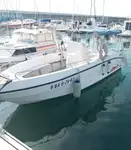Navire de croisière à vendre