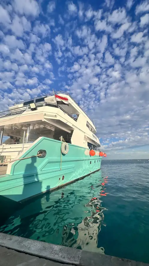 Navire de croisière à vendre