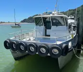 Catamaran à vendre