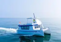 Catamaran à vendre