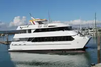 Catamaran à vendre