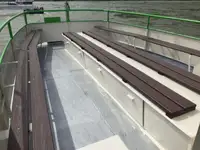 Navire de croisière à vendre