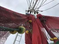 Chalutier à vendre
