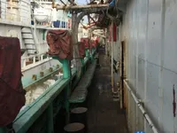 Calmar jigger à vendre