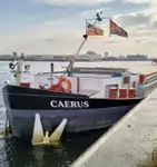Vraquier à vendre