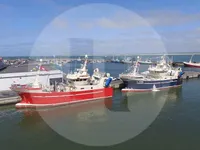 Navire de pêche à vendre