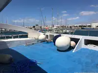 Catamaran à vendre