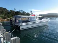 Catamaran à vendre