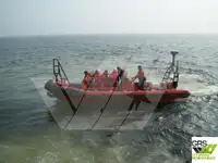 Bateau pneumatique rigide à vendre