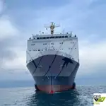 Navire Ro-Ro à vendre