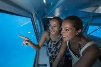 Sous-marin à vendre