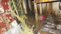 Remorqueur à vendre