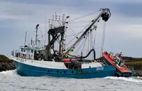 Chalutier à senne à vendre