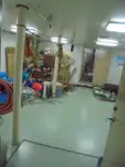 Bateau patrouilleur à vendre