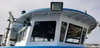 Catamaran à vendre