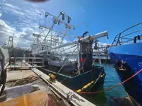 Chalutier à vendre