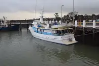 Cutter à vendre