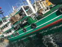 Chalutier à senne à vendre