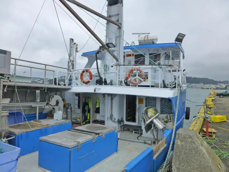 Palangrier à vendre