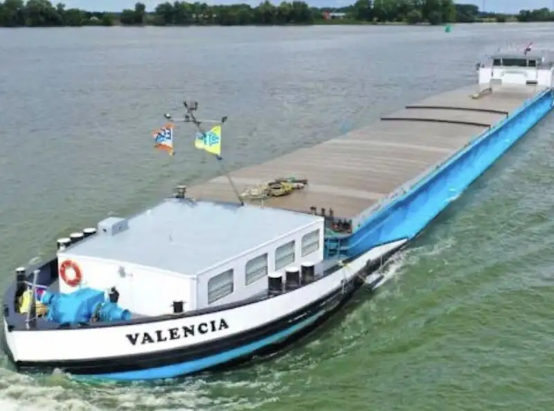 Transporteur de vrac à vendre