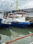 Bateau patrouilleur à vendre