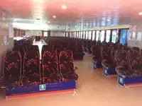 Navire de croisière à vendre
