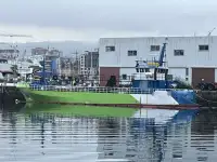 Bateaux de travail à vendre