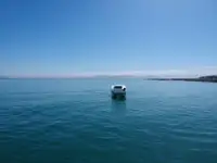Catamaran à vendre