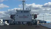 Transporteur de vrac à vendre