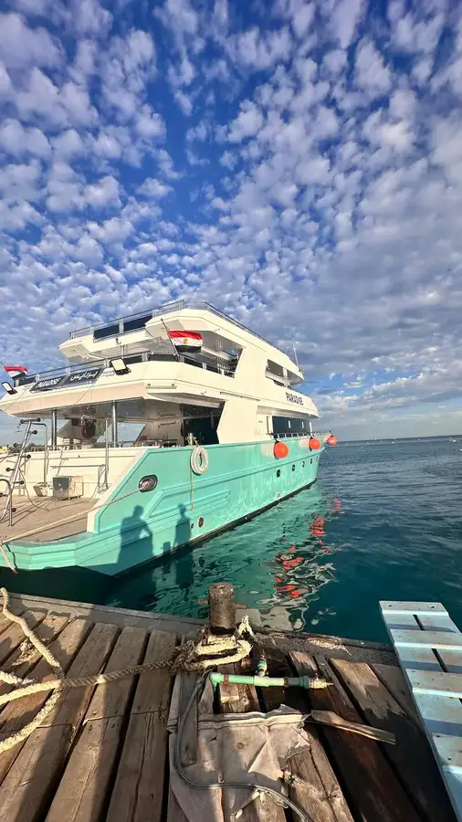Navire de croisière à vendre