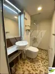 Navire de croisière à vendre