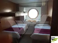 Navire de croisière à vendre