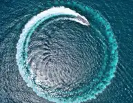 Bateau patrouilleur à vendre