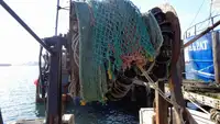 Chalutier à vendre