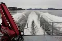 Bateaux de travail à vendre