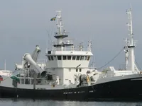 Chalutier à vendre