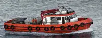 Bateaux de travail à vendre