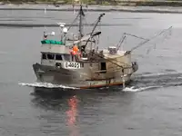 Longliner à vendre