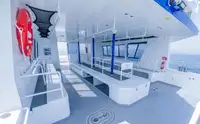 Catamaran à vendre