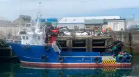 Bateaux de travail à vendre