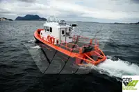 Bateaux de travail à vendre
