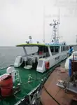 Bateau pilote à vendre