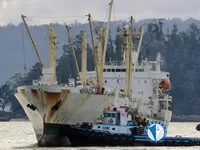 Navire frigorifique à vendre